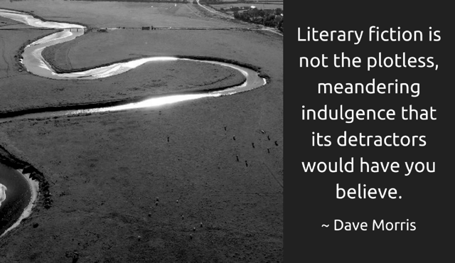 literary fiction quote 