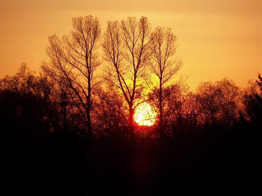 Sunrise
