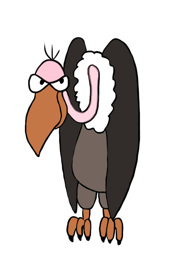 TheTwo Headed Shoulder Vulture