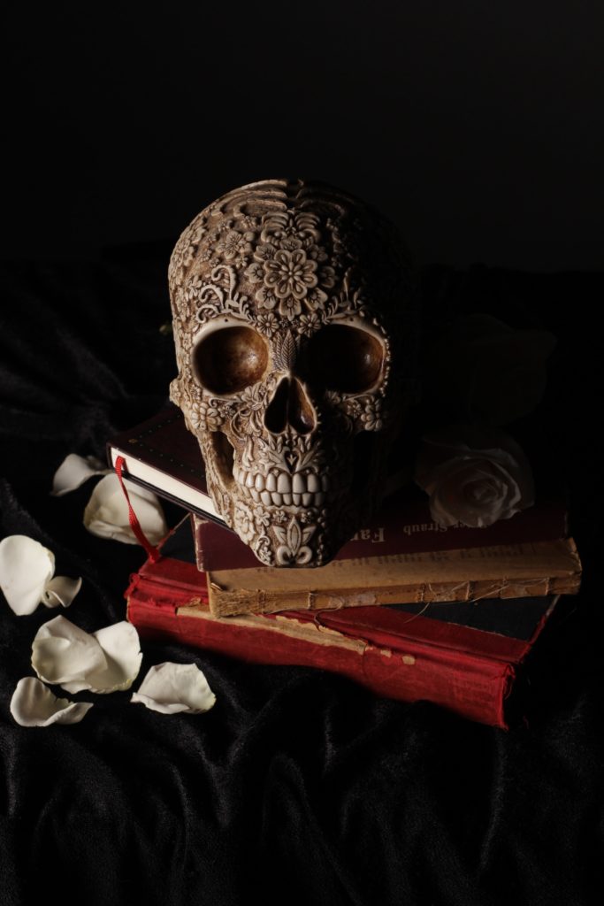 skull and books