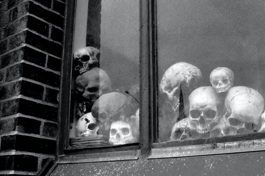 sculls in a window